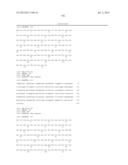 ANTIBODIES DIRECTED TO ANGIOPOIETIN-2 AND USES THEREOF diagram and image