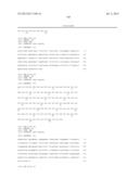 ANTIBODIES DIRECTED TO ANGIOPOIETIN-2 AND USES THEREOF diagram and image