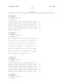 ANTIBODIES DIRECTED TO ANGIOPOIETIN-2 AND USES THEREOF diagram and image