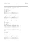 ANTIBODIES DIRECTED TO ANGIOPOIETIN-2 AND USES THEREOF diagram and image