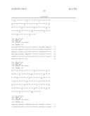 ANTIBODIES DIRECTED TO ANGIOPOIETIN-2 AND USES THEREOF diagram and image