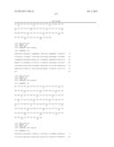 ANTIBODIES DIRECTED TO ANGIOPOIETIN-2 AND USES THEREOF diagram and image