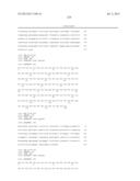 ANTIBODIES DIRECTED TO ANGIOPOIETIN-2 AND USES THEREOF diagram and image