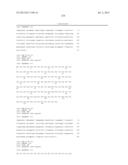 ANTIBODIES DIRECTED TO ANGIOPOIETIN-2 AND USES THEREOF diagram and image