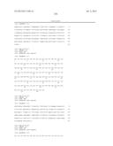 ANTIBODIES DIRECTED TO ANGIOPOIETIN-2 AND USES THEREOF diagram and image