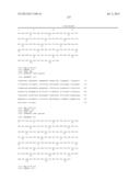 ANTIBODIES DIRECTED TO ANGIOPOIETIN-2 AND USES THEREOF diagram and image