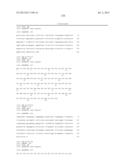 ANTIBODIES DIRECTED TO ANGIOPOIETIN-2 AND USES THEREOF diagram and image