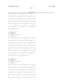 ANTIBODIES DIRECTED TO ANGIOPOIETIN-2 AND USES THEREOF diagram and image