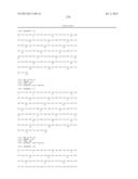 ANTIBODIES DIRECTED TO ANGIOPOIETIN-2 AND USES THEREOF diagram and image