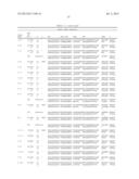 ANTIBODIES DIRECTED TO ANGIOPOIETIN-2 AND USES THEREOF diagram and image