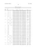 ANTIBODIES DIRECTED TO ANGIOPOIETIN-2 AND USES THEREOF diagram and image