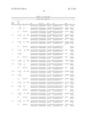 ANTIBODIES DIRECTED TO ANGIOPOIETIN-2 AND USES THEREOF diagram and image