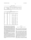 ANTIBODIES DIRECTED TO ANGIOPOIETIN-2 AND USES THEREOF diagram and image