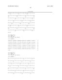 ANTIBODIES DIRECTED TO ANGIOPOIETIN-2 AND USES THEREOF diagram and image