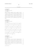 ANTIBODIES DIRECTED TO ANGIOPOIETIN-2 AND USES THEREOF diagram and image