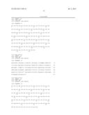 ANTIBODIES DIRECTED TO ANGIOPOIETIN-2 AND USES THEREOF diagram and image