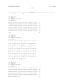 ANTIBODIES DIRECTED TO ANGIOPOIETIN-2 AND USES THEREOF diagram and image