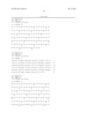 ANTIBODIES DIRECTED TO ANGIOPOIETIN-2 AND USES THEREOF diagram and image