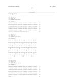 ANTIBODIES DIRECTED TO ANGIOPOIETIN-2 AND USES THEREOF diagram and image