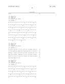 ANTIBODIES DIRECTED TO ANGIOPOIETIN-2 AND USES THEREOF diagram and image