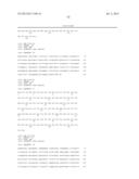 ANTIBODIES DIRECTED TO ANGIOPOIETIN-2 AND USES THEREOF diagram and image