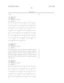 ANTIBODIES DIRECTED TO ANGIOPOIETIN-2 AND USES THEREOF diagram and image