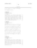 ANTIBODIES DIRECTED TO ANGIOPOIETIN-2 AND USES THEREOF diagram and image