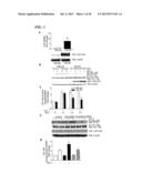 Inhibition of LAR Phosphatase to Enhance Therapeutic Angiogenesis diagram and image