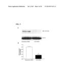 Inhibition of LAR Phosphatase to Enhance Therapeutic Angiogenesis diagram and image