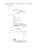 Inhibition of LAR Phosphatase to Enhance Therapeutic Angiogenesis diagram and image