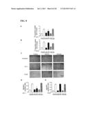 Inhibition of LAR Phosphatase to Enhance Therapeutic Angiogenesis diagram and image