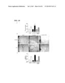 Inhibition of LAR Phosphatase to Enhance Therapeutic Angiogenesis diagram and image