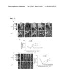 Inhibition of LAR Phosphatase to Enhance Therapeutic Angiogenesis diagram and image