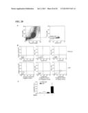 Inhibition of LAR Phosphatase to Enhance Therapeutic Angiogenesis diagram and image