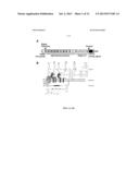 COMPOSITIONS AND METHODS RELATED TO PROTEIN A (SPA) VARIANTS diagram and image