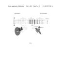 COMPOSITIONS AND METHODS RELATED TO PROTEIN A (SPA) VARIANTS diagram and image