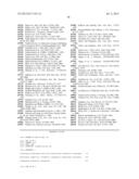 COMPOSITIONS AND METHODS RELATED TO PROTEIN A (SPA) VARIANTS diagram and image