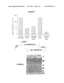 GLUCAN-BASED VACCINES diagram and image