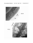 Hybrid Energy Storage Devices Including Surface Effect Dominant Sites diagram and image