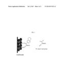 POSITIVE ELECTRODE FOR LITHIUM RECHARGEABLE BATTERY AND LITHIUM     RECHARGEABLE BATTERY INCLUDING THE SAME diagram and image