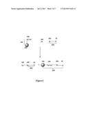 Magnetic Binding Assays Utilizing Time-Resolved Up-Converting Luminescence     Detection diagram and image