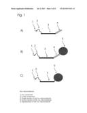 CONJUGATES OF NUCLEOTIDES AND METHOD FOR THE APPLICATION THEREOF diagram and image