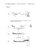 CONJUGATES OF NUCLEOTIDES AND METHOD FOR THE APPLICATION THEREOF diagram and image