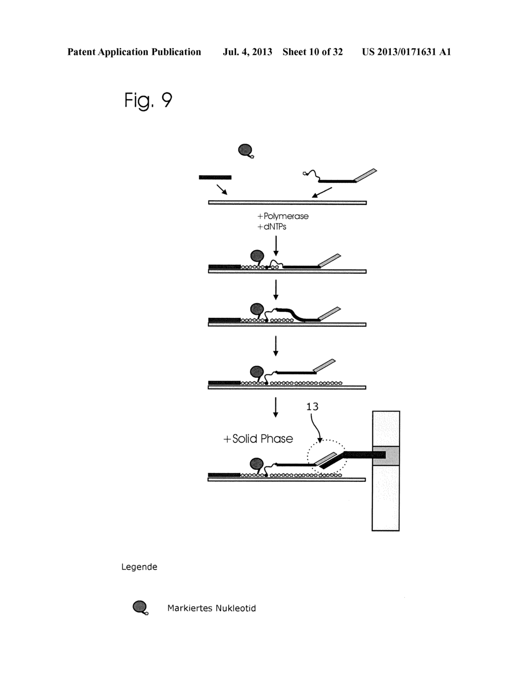 CONJUGATES OF NUCLEOTIDES AND METHOD FOR THE APPLICATION THEREOF - diagram, schematic, and image 11