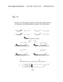 CONJUGATES OF NUCLEOTIDES AND METHOD FOR THE APPLICATION THEREOF diagram and image