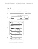 CONJUGATES OF NUCLEOTIDES AND METHOD FOR THE APPLICATION THEREOF diagram and image