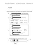 CONJUGATES OF NUCLEOTIDES AND METHOD FOR THE APPLICATION THEREOF diagram and image