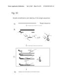 CONJUGATES OF NUCLEOTIDES AND METHOD FOR THE APPLICATION THEREOF diagram and image