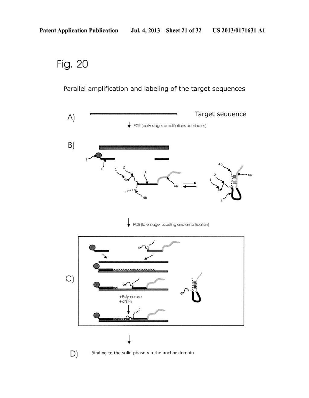 CONJUGATES OF NUCLEOTIDES AND METHOD FOR THE APPLICATION THEREOF - diagram, schematic, and image 22