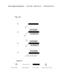 CONJUGATES OF NUCLEOTIDES AND METHOD FOR THE APPLICATION THEREOF diagram and image